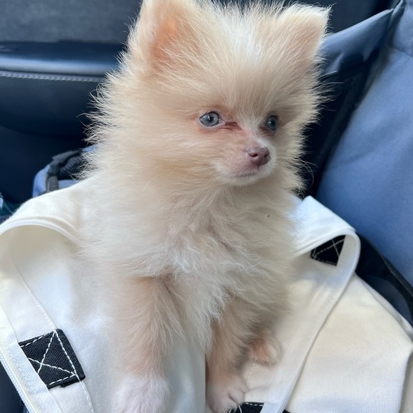 💋💋💋 - Picture 6 of 6